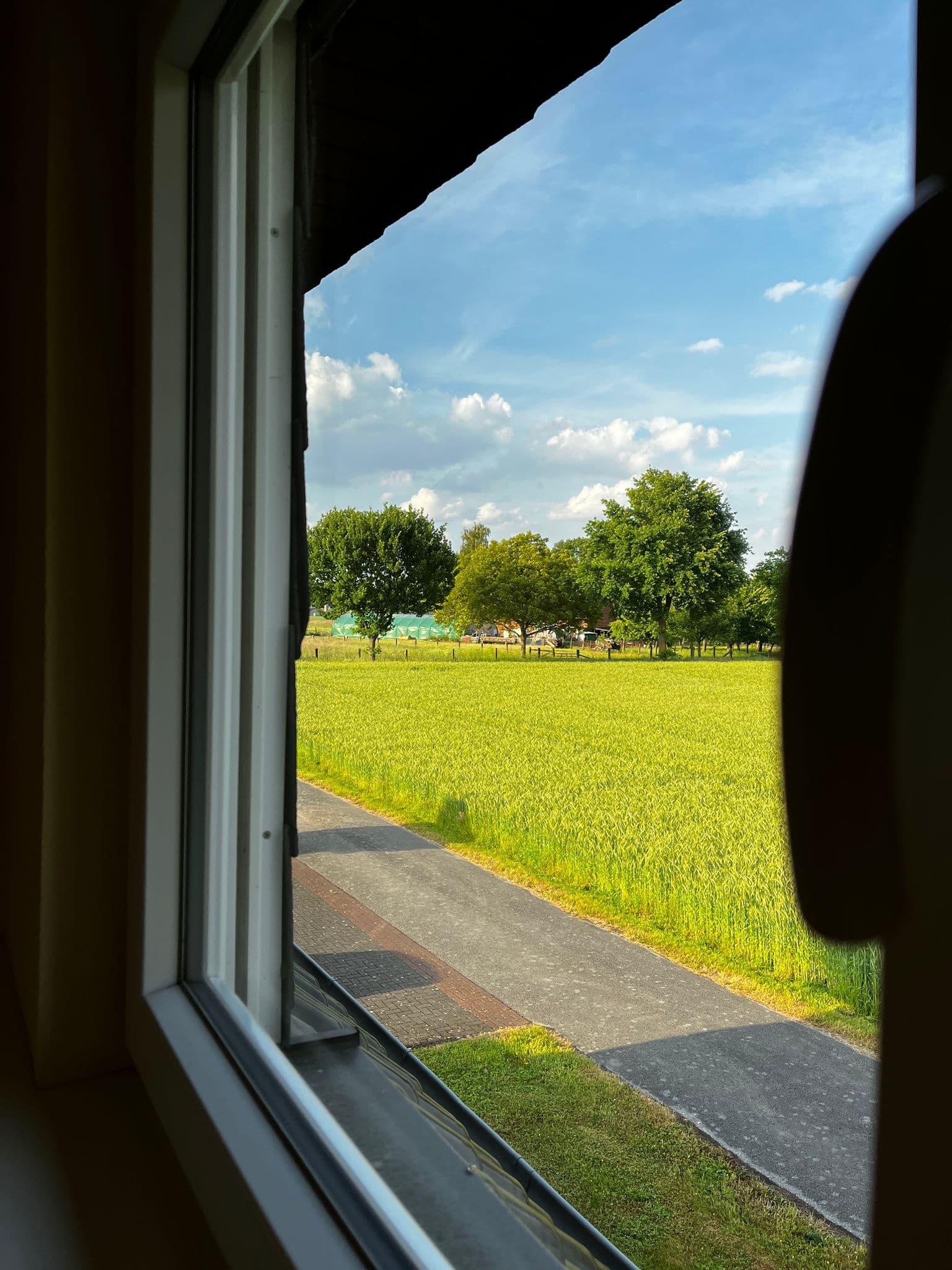 Fensterreinigung